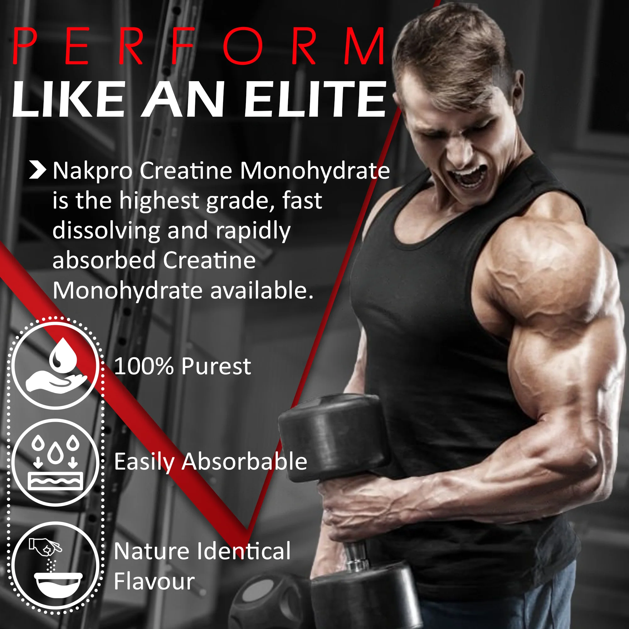 Micronized Creatine Monohydrate - Image 117