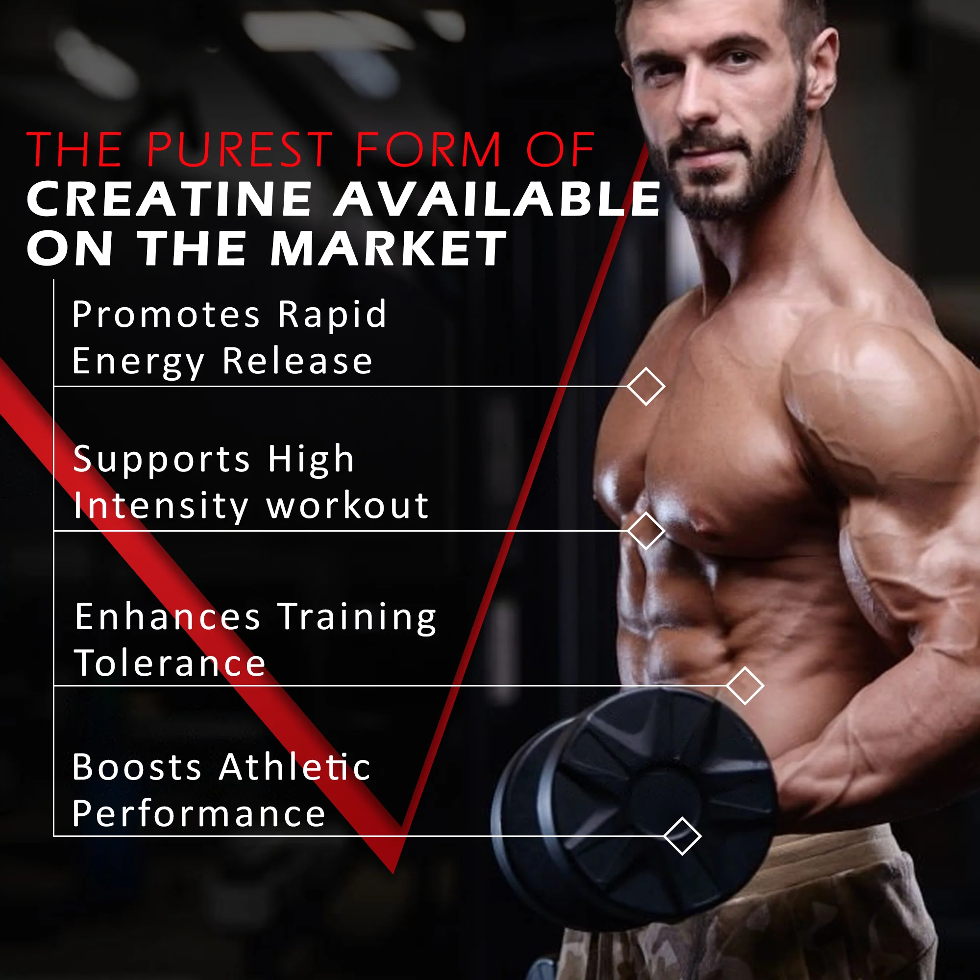 Micronized Creatine Monohydrate - Image 38