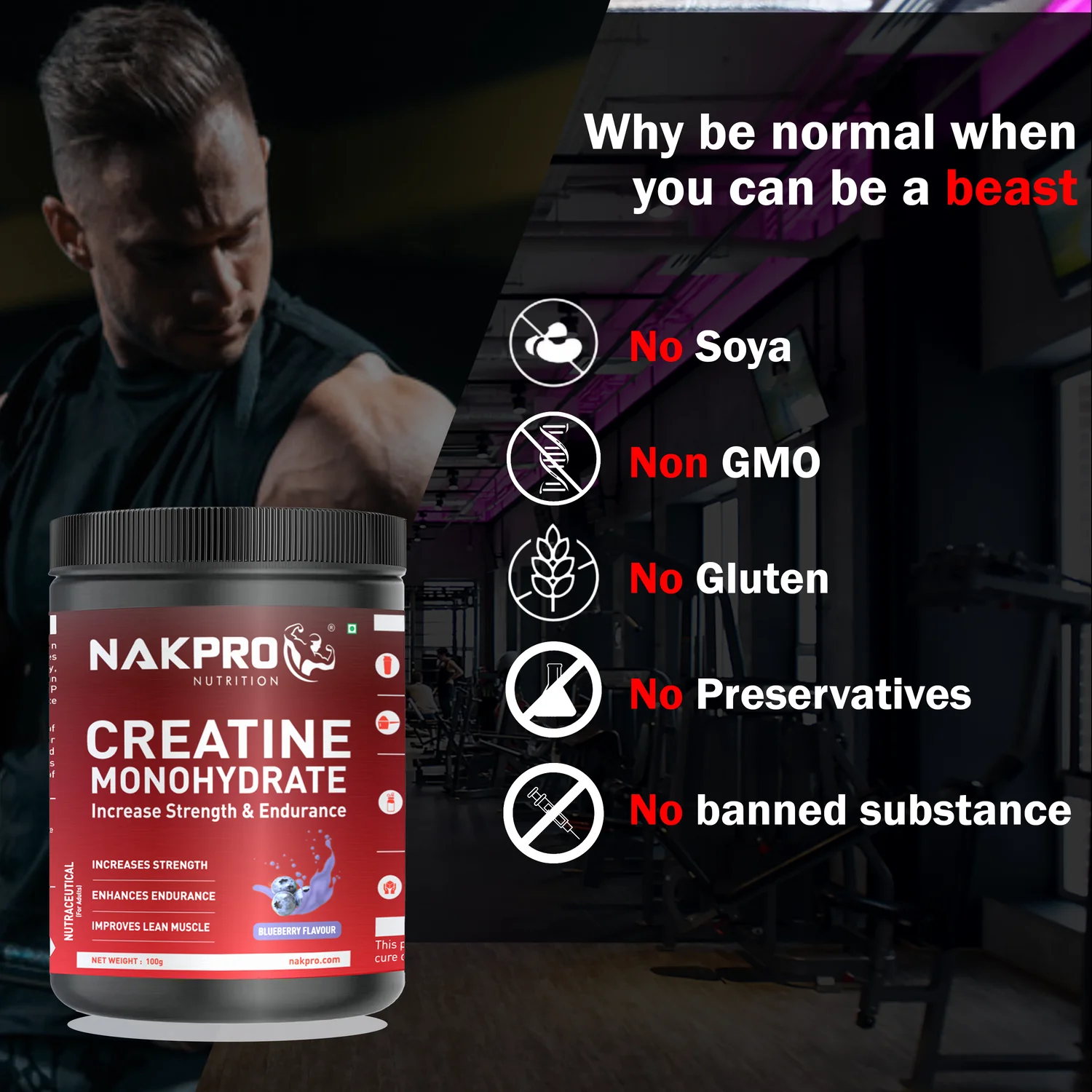 Micronized Creatine Monohydrate - Image 52