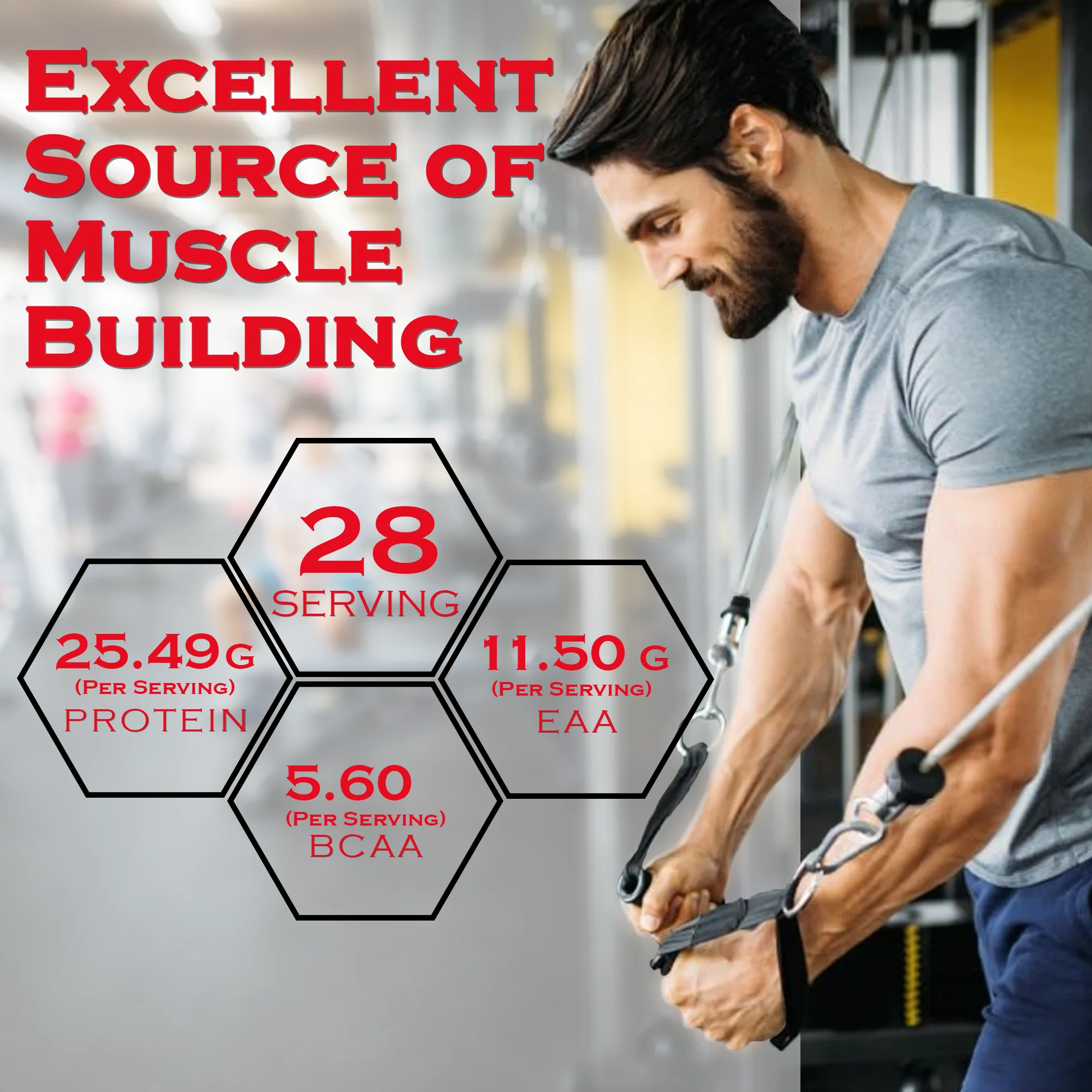 Titanium | Tri - Whey Protein Blend - Image 29